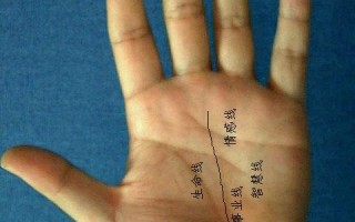 百发百中手相流年图算命(图解)下载，百发百中手相流年图算命(图解)免收费下载安装
