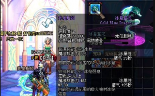 dnf宠物胶囊_dnf 低成本20个宠物