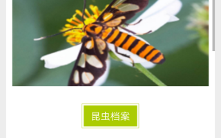 古玩虫app官方版游戏下载，古玩虫app安卓游戏下载