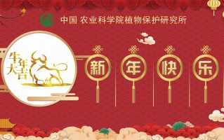 新年寄语2021图片带字简短下载，新年寄语2021图片带字简短免收费下载安装