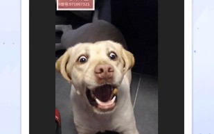 水印宝官方版游戏下载，水印宝安卓游戏下载