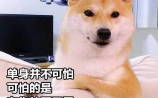 2020七夕单身狗表情包大全下载，2020七夕单身狗表情包大全免收费下载安装